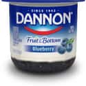 Blueberry Fruit on the Bottom on Random Best Dannon Yogurt Flavors