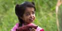 Jyoti Amge Is Considered A Deity In India on Random Facts You Didn't Know About 'American Horror Story'