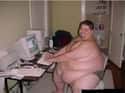 The Other Fat Man at the Computer on Random Most Epic Fat Guys In Internet History