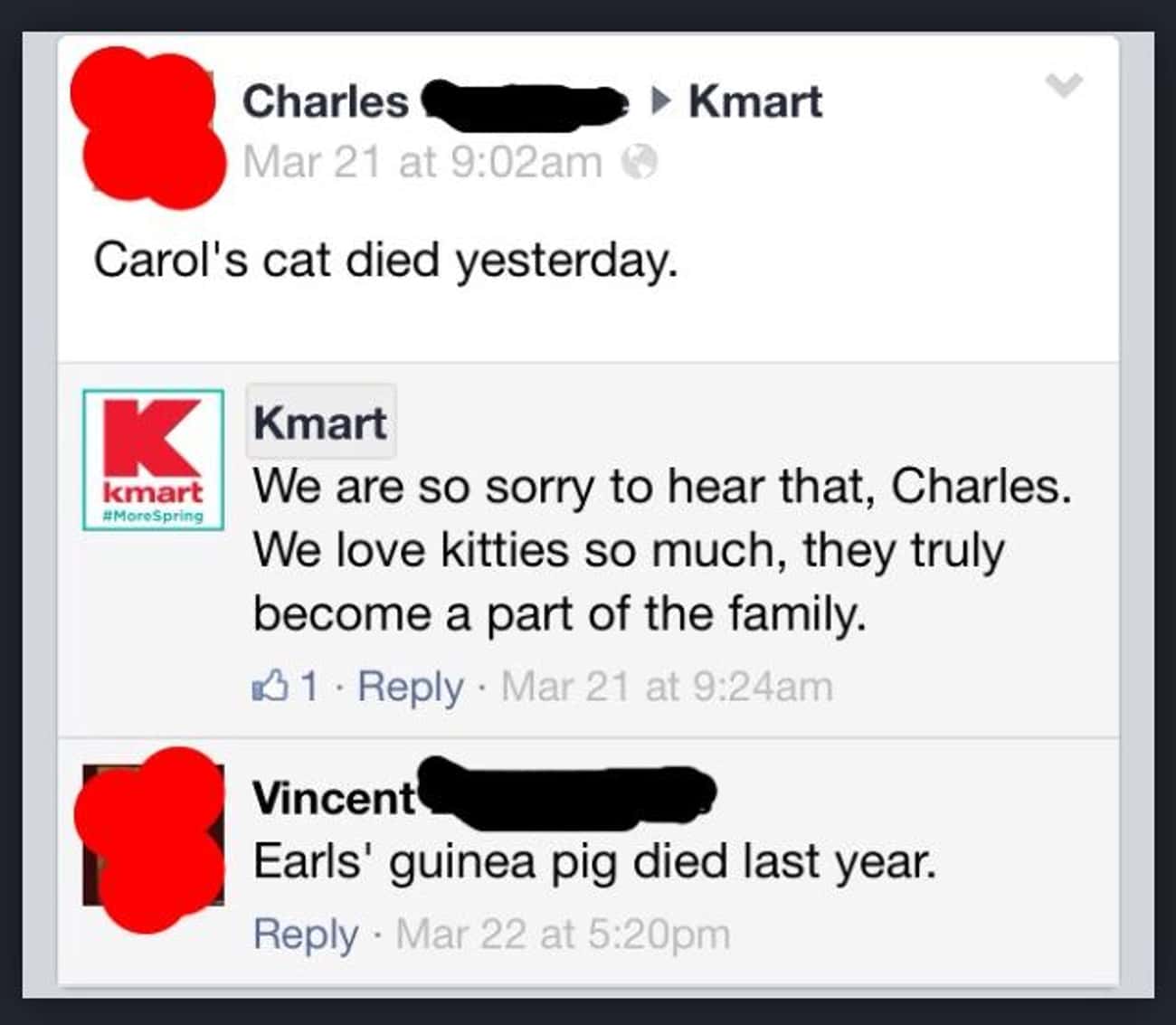 It's a pet death epidemic.