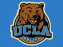 Their mascot is a bear? That's so every team in the UC system. on Random Reasons USC Is Better Than UCLA