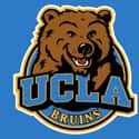 Their mascot is a bear? That's so every team in the UC system. on Random Reasons USC Is Better Than UCLA