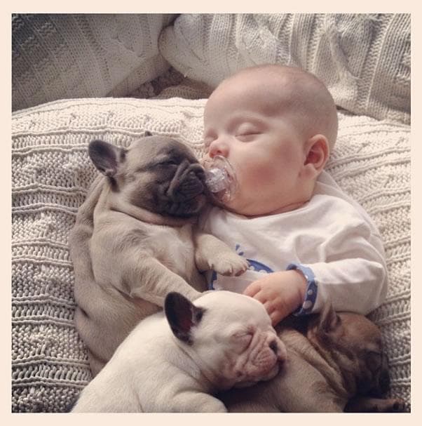 Image of Random Dogs and Babies Who Are Adorable Best Friends