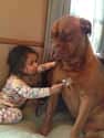 This Future Vet and Her Patient on Random Dogs and Babies Who Are Adorable Best Friends
