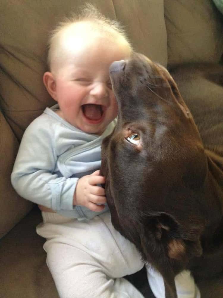 dog and baby cute