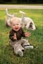 These Guys Having a Great Time on Random Dogs and Babies Who Are Adorable Best Friends