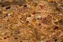 This Aerial Shot of Niger on Random Vomit-Inducing Photos Will Trigger Your Trypophobia