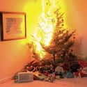 Exploding Christmas Trees on Random Biggest Christmas Myths and Legends