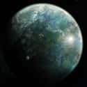 Kashyyyk on Random Best Planets in the Star Wars Univers