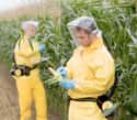 GMOs Are Dangerous on Random Conspiracy Theories You Believe Are True