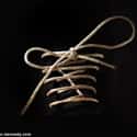 24 Karat Gold Shoelaces on Random Most Expensive Christmas Gifts Money Can Buy