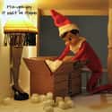 The Last Year They Ordered All Of Their Gifts Online on Random Funny Photos of Elf on the Shelf Gone Bad