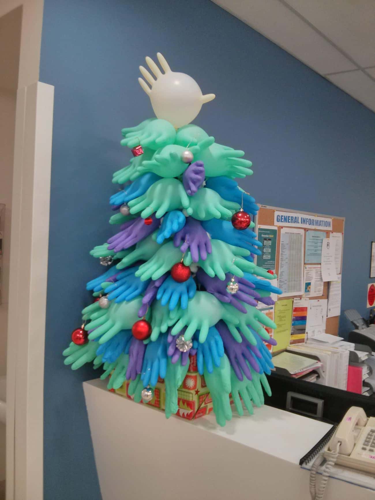This Rubber Glove Tree