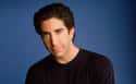 Dr. Ross Geller on Random Cast of Friends: Where Are They Now