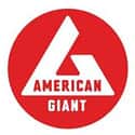 American Giant on Random Best Hoodie Brands