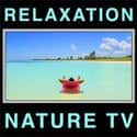 Best Beaches - Relaxation Nature TV - Videos on Random Best Travel Podcasts on iTunes & More