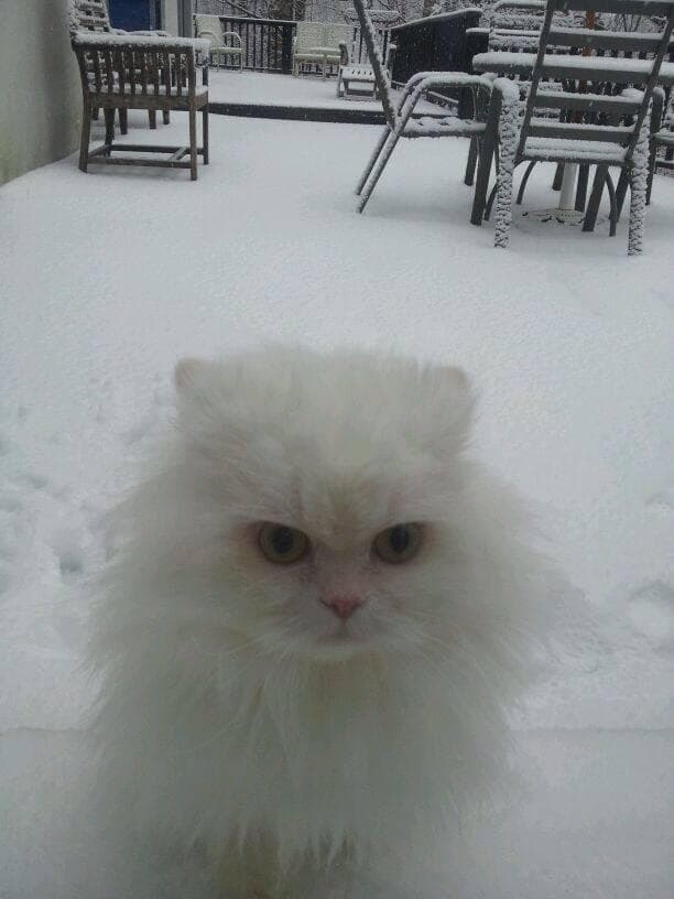 This Is Horrible, I'm Going To Eat All Your Phone Chargers For This