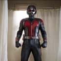 Ant-Man — Ant-Man on Random Best Marvel Costume Adaptations