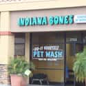 For the Adventurous Pup on Random Punningly Brilliant Names for Real Life Stores