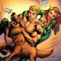 Aquadog on Random Best Comic Book Animal Companions
