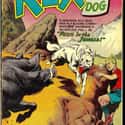 Rex the Wonder Dog on Random Best Comic Book Animal Companions