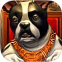 Dogs Playing Poker ~ free Texas hold'em game on Random Best Poker Apps for iPhon