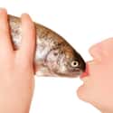 Gives new meaning to "kissing like a fish." on Random Craziest Stock Photos on the Internet