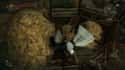 Altair Dead in a Bale of Hay in The Witcher 2: Assassins of Kings on Random Greatest Video Game Easter Eggs