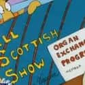 The All Scottish Show on Random Jokes in Cartoons You Didn't Get As A Child