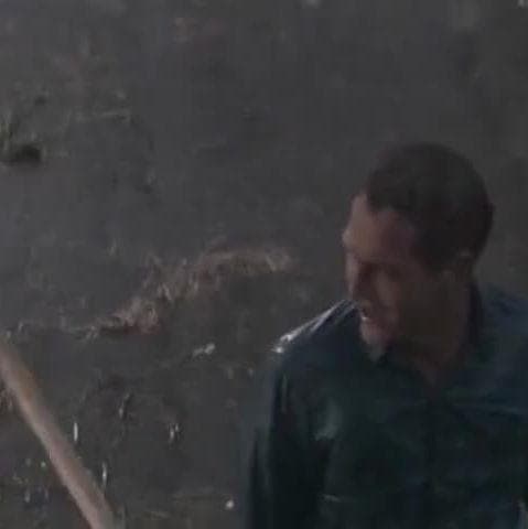 The Best Cool Hand Luke Movie Quotes (1967) (Page 2)