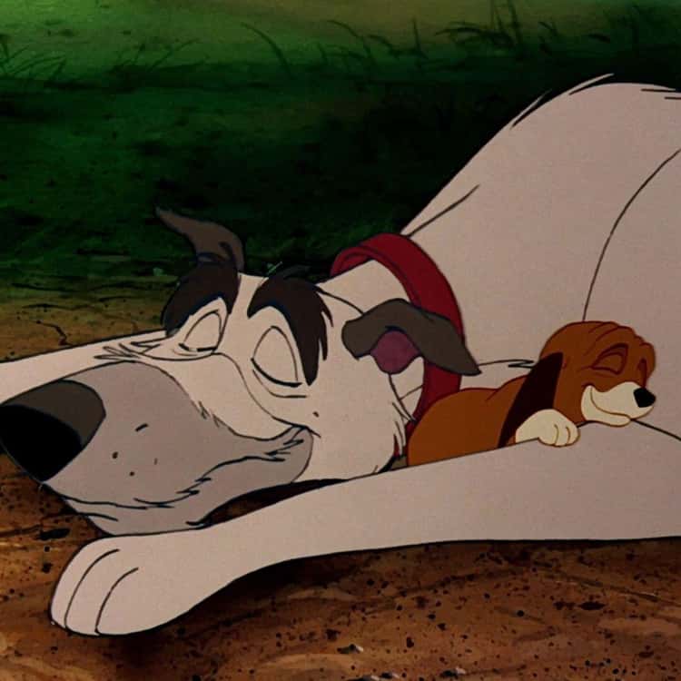 16+ Fox And The Hound Quotes