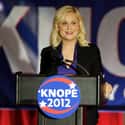 Campaign Manager, Leslie Knope for City Council on Random Ben Wyatt's Jobs on Parks and Recreation