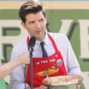 Candidate for Indiana State Representative on Random Ben Wyatt's Jobs on Parks and Recreation