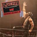 Son of Havoc on Random Best Lucha Underground Wrestlers