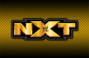 Random Best NXT Wrestlers