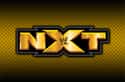 Finn Balor on Random Best NXT Wrestlers