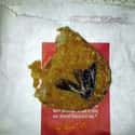 This Deep Fried Pest on Random Grossest Things Ever Found in Fast Food Meals