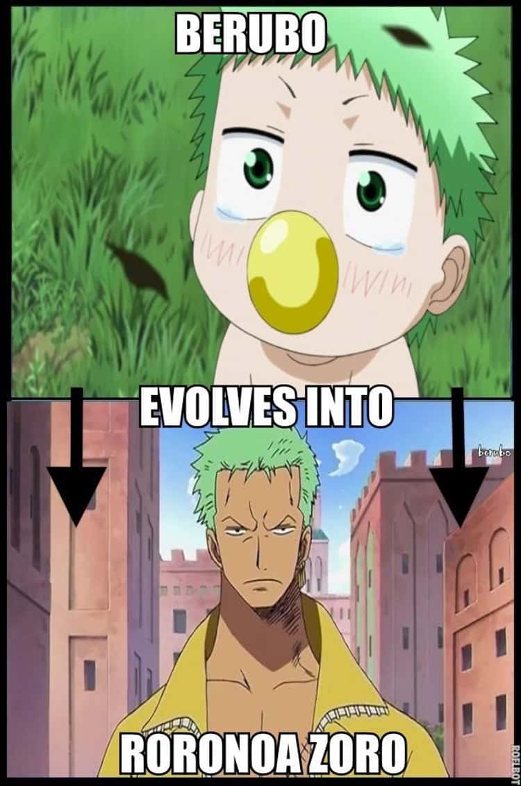 The Best One Piece Anime Memes & Jokes