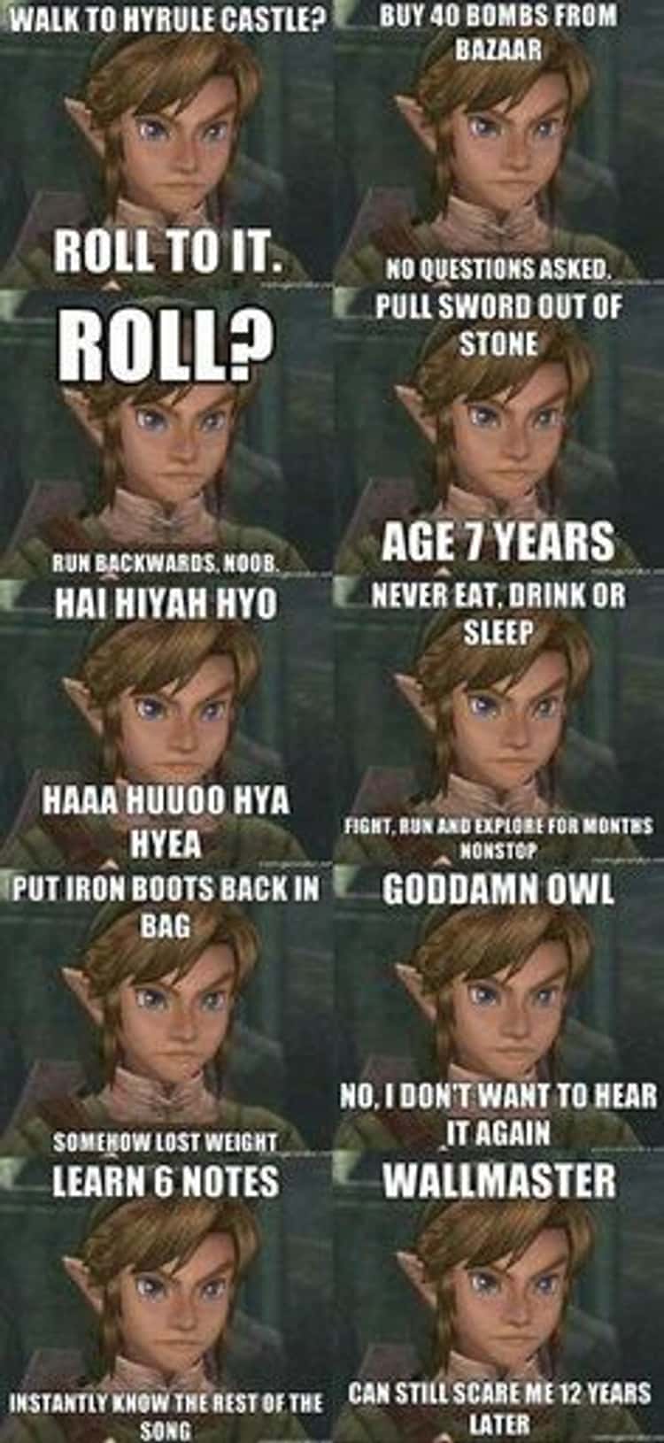 The Legend Of Zelda: 10 Breath Of The Wild Link Memes That Are Too