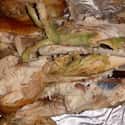The Bile in the Chicken Breast on Random Grossest Things Ever Found in Packaged Foods
