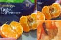 The Eggs in the Orange on Random Grossest Things Ever Found in Packaged Foods