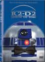 R2-D2: Beneath the Dome Easter Eggs Can Be Seen in the End Credits on Random 'Star Wars' Easter Eggs You Can Spot On Disney+