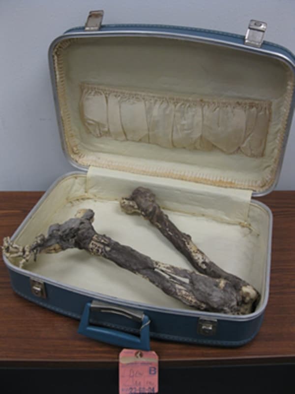 Weirdest Things Donated to Goodwill Thrift Stores