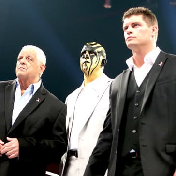 The Greatest Families In Wrestling