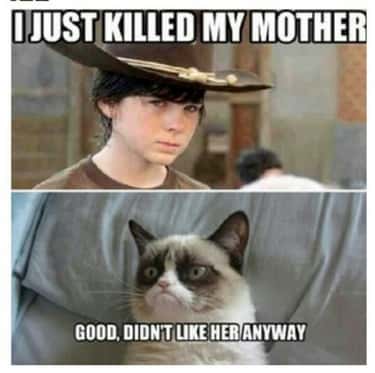 The Best Walking Dead Memes Jokes On The Internet