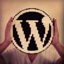 WordPress on Random Tech Industry Dream Companies Everyone Wants To Work Fo