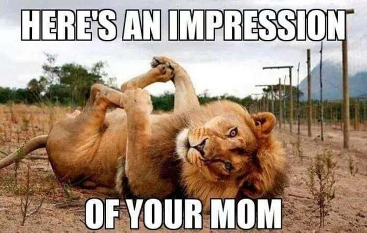 Best Your Mom Jokes | List of the Funniest Mom Jokes