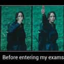 Yes, school may be just as... deadly on Random Best Hunger Games Memes