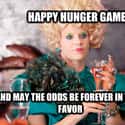 I can dig the colors. Really. on Random Best Hunger Games Memes