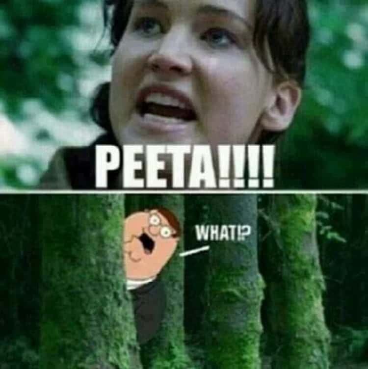 Best 25 Hunger Games Memes #Hunger games Funny #Memes
